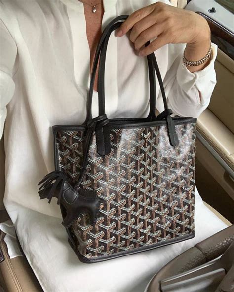 goyard anjou pm price